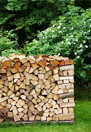 simsearch:649-06489277,k - Pile of firewood in backyard Stock Photo - Premium Royalty-Free, Code: 649-06432785
