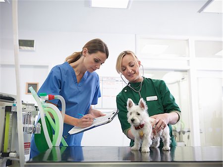 Vétérinaire et infirmière chien examen Photographie de stock - Premium Libres de Droits, Code: 649-06432992