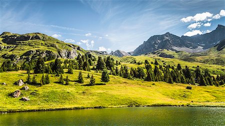 suiza (país) - Trees and lake in grassy rural landscape Foto de stock - Sin royalties Premium, Código: 649-06433173