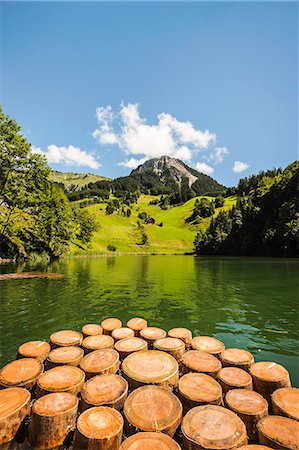 Souches d'arbres dans le lac encore rural Photographie de stock - Premium Libres de Droits, Code: 649-06433203