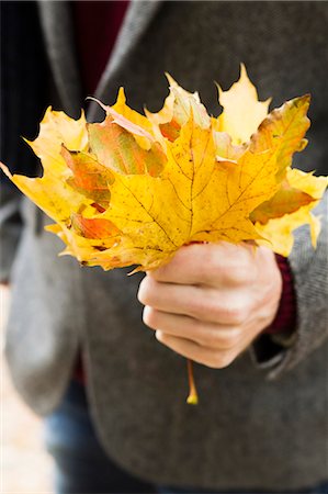 Close up of man holding autumn leaves Stock Photo - Premium Royalty-Free, Code: 649-06488911