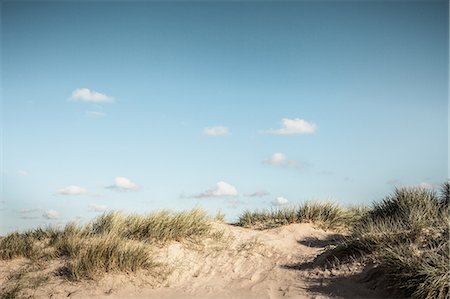 simsearch:649-06488947,k - Grassy sand dunes under blue sky Fotografie stock - Premium Royalty-Free, Codice: 649-06488945
