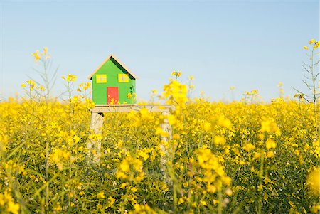 Model house in field of flowers Photographie de stock - Premium Libres de Droits, Code: 649-06489087