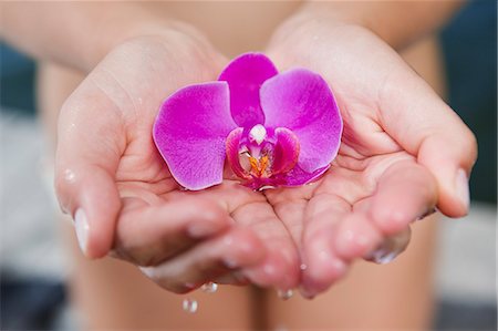 simsearch:649-06489177,k - Woman cupping orchid in hands Photographie de stock - Premium Libres de Droits, Code: 649-06489140