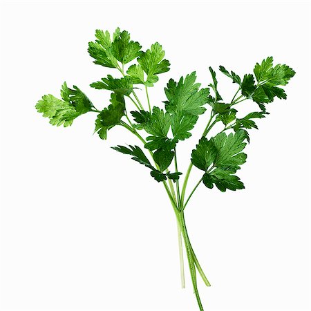 simsearch:614-06312094,k - Close up of sprig of herbs Stock Photo - Premium Royalty-Free, Code: 649-06489305