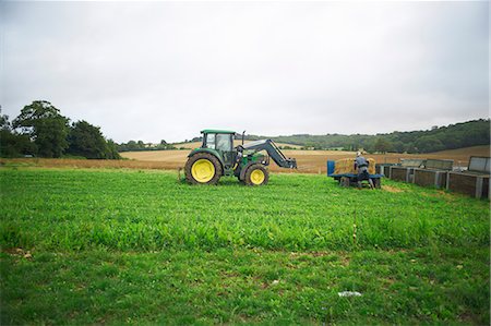 Tractor working in field Foto de stock - Sin royalties Premium, Código: 649-06489841
