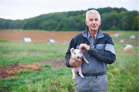 farmer holding pig - Farmer holding piglet in field Foto de stock - Sin royalties Premium, Código: 649-06489843