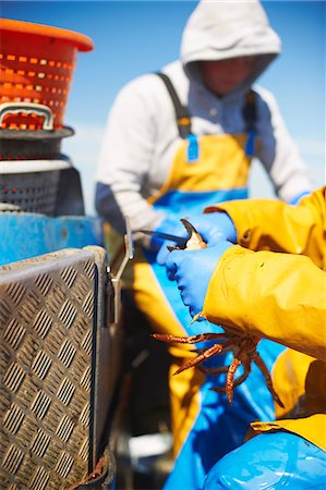 Fishermen at work on boat Foto de stock - Sin royalties Premium, Código: 649-06489863