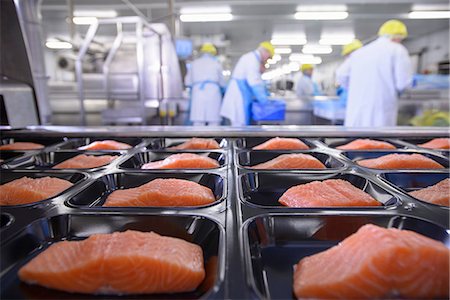 préparations - Fish filets in packaging in factory Photographie de stock - Premium Libres de Droits, Code: 649-06533452