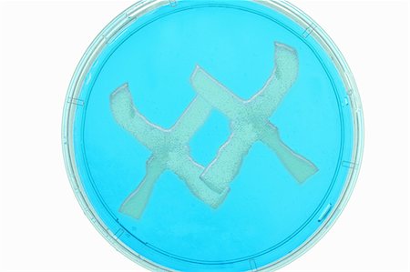 XX in petri dish in lab Photographie de stock - Premium Libres de Droits, Code: 649-06533513