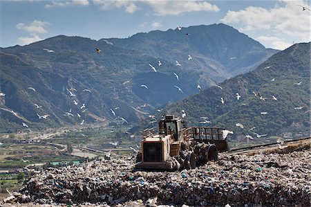 seagull flying - Machinery working on waste in landfill Stock Photo - Premium Royalty-Free, Code: 649-06533598