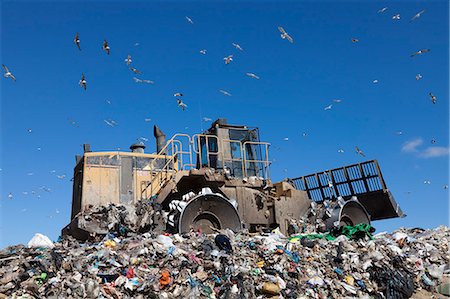 seagull flying - Machinery working on waste in landfill Stock Photo - Premium Royalty-Free, Code: 649-06533602