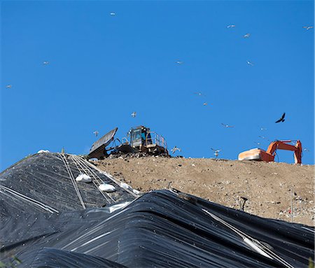 Birds flying over machinery in landfill Stock Photo - Premium Royalty-Free, Code: 649-06533603