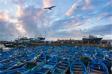 Birds flying over boats in urban harbor Stock Photo - Premium Royalty-Free, Code: 649-06622263