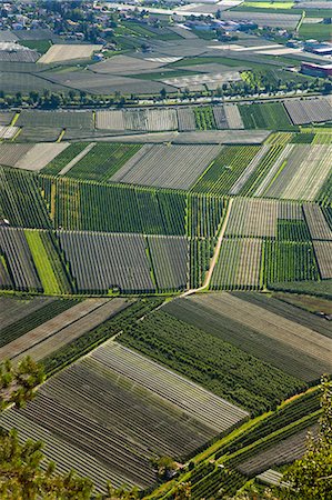 farmland backgrounds - Aerial view of crop fields Stock Photo - Premium Royalty-Free, Code: 649-06622296