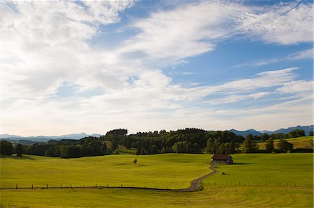 farmhouse and countryside - House built on dirt road in field Stock Photo - Premium Royalty-Free, Code: 649-06622293