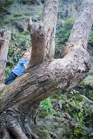 simsearch:649-06622586,k - Boy climbing bare tree in forest Photographie de stock - Premium Libres de Droits, Code: 649-06622591