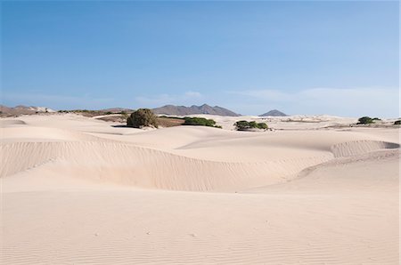 Sand dunes in desert landscape Foto de stock - Sin royalties Premium, Código: 649-06622624