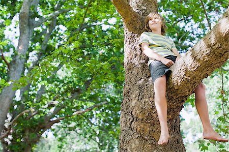 single boy - Smiling boy sitting in tree Stock Photo - Premium Royalty-Free, Code: 649-06717299