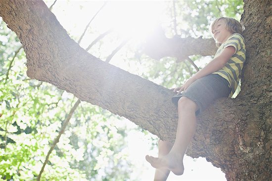 Smiling boy sitting in tree Stock Photo - Premium Royalty-Free, Image code: 649-06717300