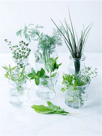 Sorrel, mint, tarragon, marjoram, dill, chives, thyme and chervil Stock Photo - Premium Royalty-Free, Code: 649-06812155
