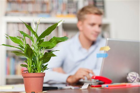 simsearch:649-06812666,k - Young man at desk with pot plant in foreground Fotografie stock - Premium Royalty-Free, Codice: 649-06812687