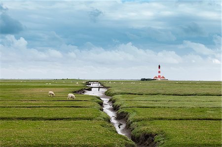 Field with distant lighthouse, Schleswig Holstein, Germany Stock Photo - Premium Royalty-Free, Code: 649-06812734