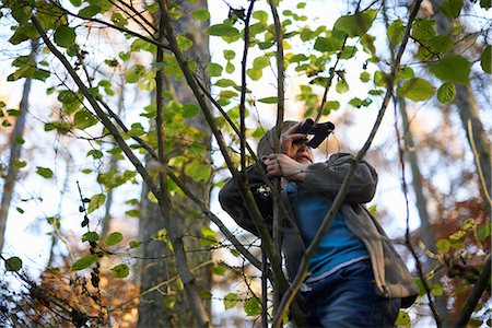 sorveglianza - Boys up tree looking through binoculars Fotografie stock - Premium Royalty-Free, Codice: 649-06812984