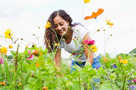 Young woman gardening in allotment Stock Photo - Premium Royalty-Free, Code: 649-06829474