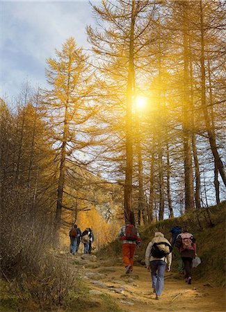 simsearch:649-06829538,k - Group of mature and senior men and women hiking in forest Stock Photo - Premium Royalty-Free, Code: 649-06829534