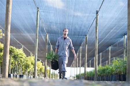 Plant nursery worker carrying plant Foto de stock - Sin royalties Premium, Código: 649-06844193