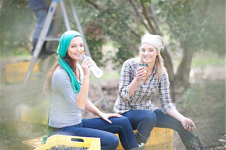 female sitting crate - Women sitting on crates taking a break in olive grove Stock Photo - Premium Royalty-Free, Code: 649-06844349