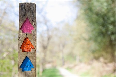 Colourful direction arrows in forest Stock Photo - Premium Royalty-Free, Code: 649-06844894