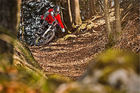 Man mountain biking through forest Foto de stock - Sin royalties Premium, Código: 649-06845134