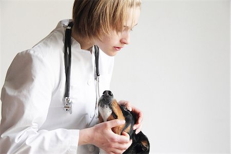 Female veterinarian examining dogs eye Foto de stock - Royalty Free Premium, Número: 649-06845229