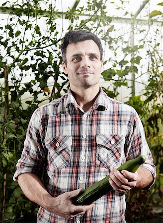 Man holding cucumber in hot house Stock Photo - Premium Royalty-Free, Code: 649-06943758