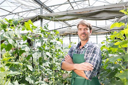 Portrait of organic farmer next to cucumber plants in polytunnel Stock Photo - Premium Royalty-Free, Code: 649-07063408