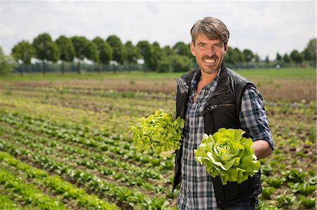 Portrait of organic farmer holding lettuce Foto de stock - Sin royalties Premium, Código: 649-07063423