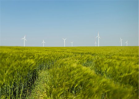 electric blue - Green field and wind turbines, Selfkant, Germany Stock Photo - Premium Royalty-Free, Code: 649-07063483