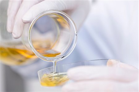 scientific experiment - Flask with growth medium (agar-medium) being poured into petri dish. Bacterial growth Stock Photo - Premium Royalty-Free, Code: 649-07118796