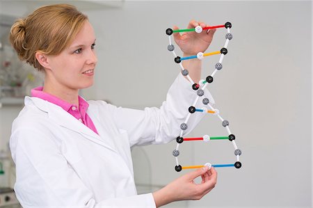 simsearch:614-06973709,k - Female scientist with dna molecular model in laboratory Stock Photo - Premium Royalty-Free, Code: 649-07118814