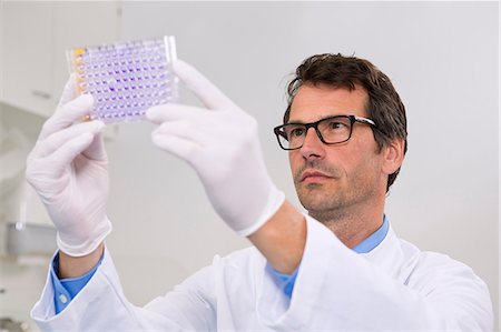 scientist - Male scientist in laboratory with 96-well microtiter plate with crystal violet solution to examine toxicity Stock Photo - Premium Royalty-Free, Code: 649-07118833