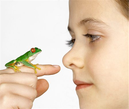 Girl with a red-eyed tree frog on her finger Photographie de stock - Premium Libres de Droits, Code: 649-07119017