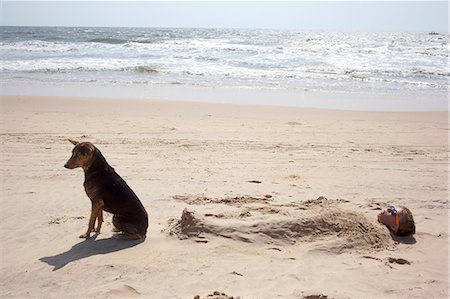 Boy buried in sand on beach with dog Photographie de stock - Premium Libres de Droits, Code: 649-07119742