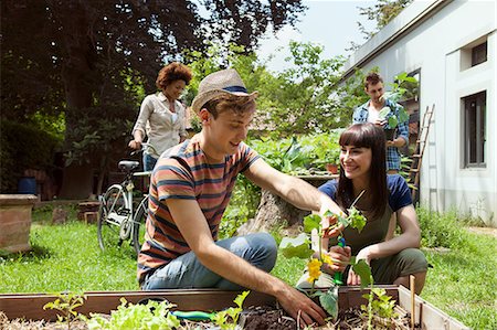 Friends gardening Foto de stock - Sin royalties Premium, Código: 649-07238527