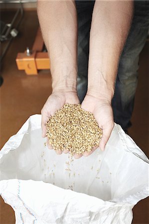 Handful of barley Stock Photo - Premium Royalty-Free, Code: 649-07238701