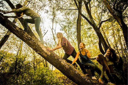 simsearch:649-07239413,k - Five young women climbing tree in woods Stock Photo - Premium Royalty-Free, Code: 649-07239411