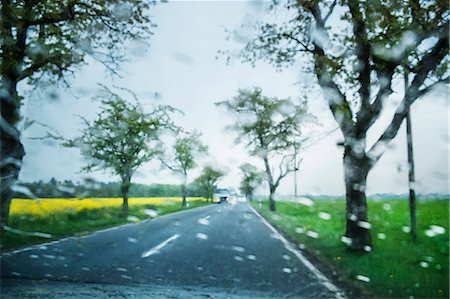 parebrise - Trees along road in rain, Brandenburg, Germany Photographie de stock - Premium Libres de Droits, Code: 649-07279720