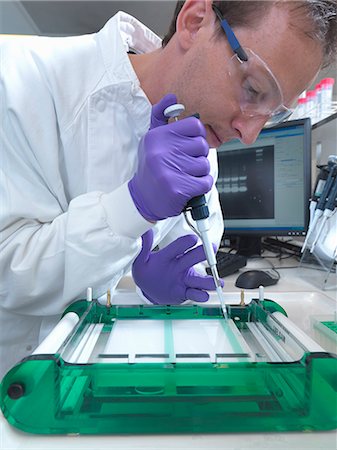 Researcher loads a sample of DNA into an agarose gel for separation by electrophoresis Foto de stock - Sin royalties Premium, Código: 649-07279818