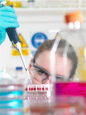 Scientist pipetting stem cell cultures into tray for pharmaceutical research Photographie de stock - Premium Libres de Droits, Code: 649-07279840